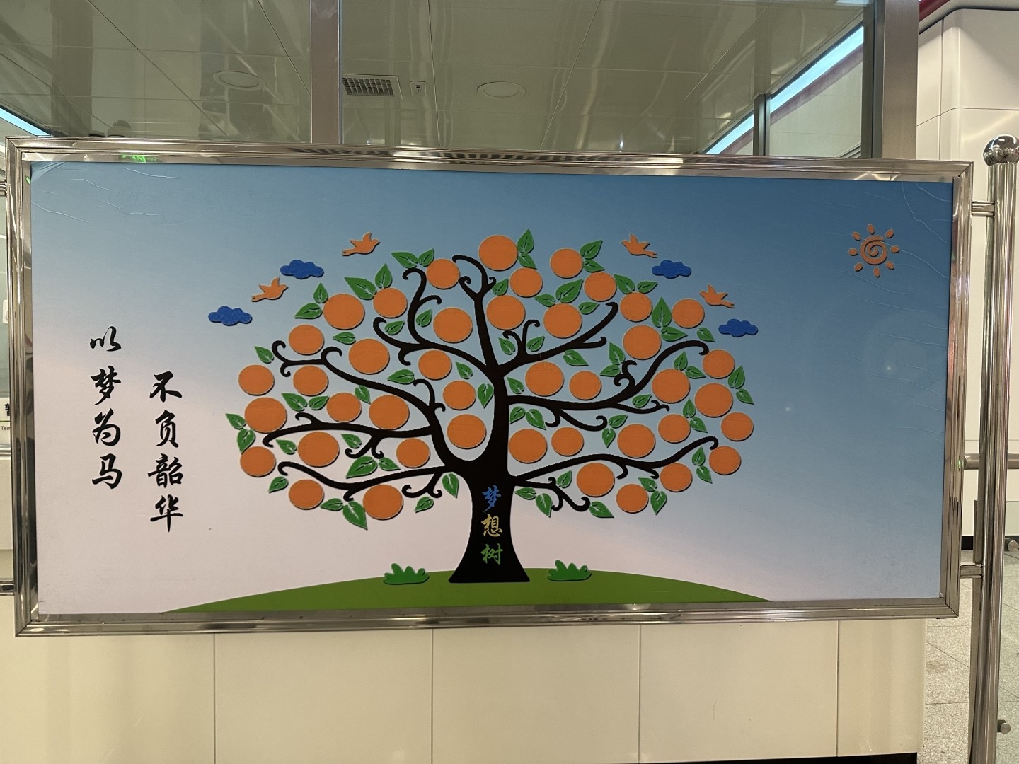 心愿树照片.jpeg